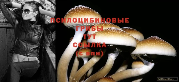 экстази Богородск