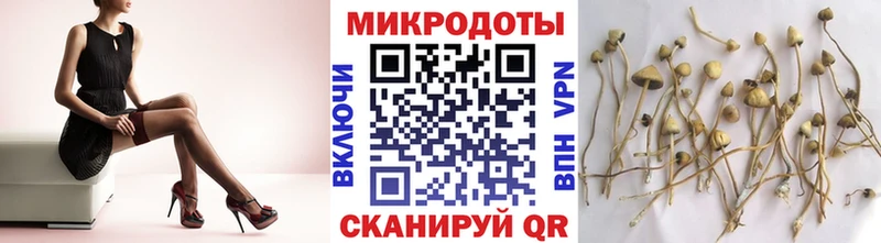 Галлюциногенные грибы GOLDEN TEACHER  цена наркотик  Гусев 
