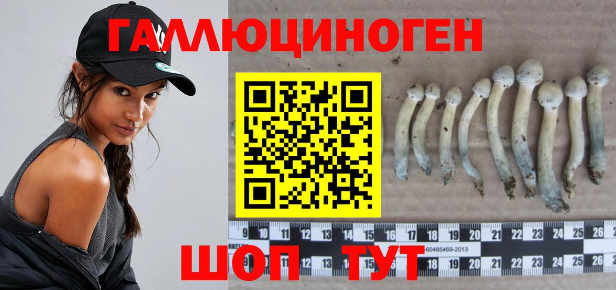 Гусев  Галлюциногенные грибы Psilocybine cubensis  Вход с VPN  Галлюциногенные грибы мицелий 