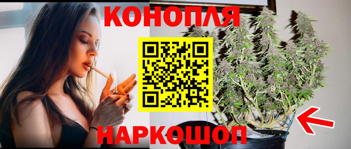 Каннабис семена Гусев